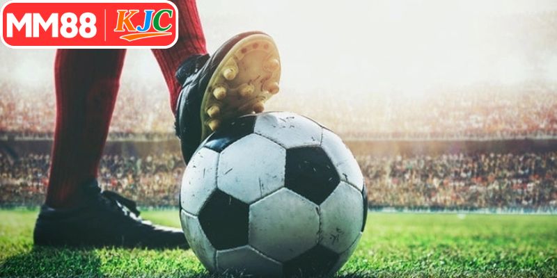 Phương thức đặt rung chi tiết tại nhà cái ngày nay