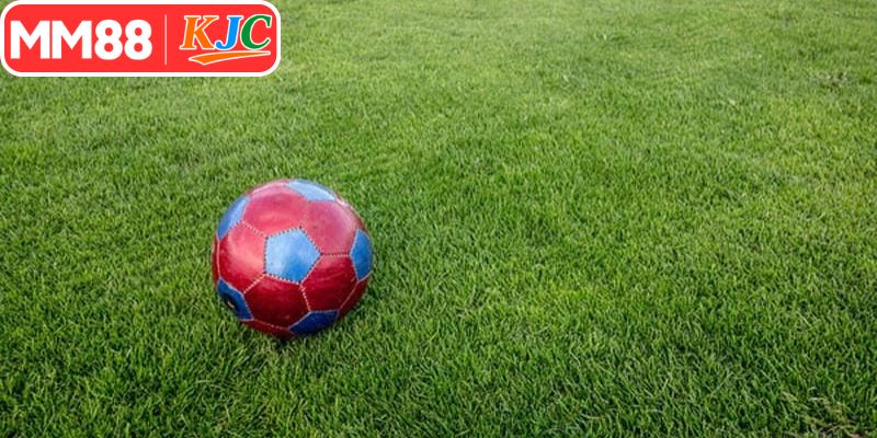 Cách đọc kèo rung là gì trong bóng đá chính xác nhất