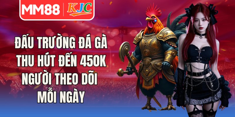 Đấu trường đá gà thu hút đến 450K người theo dõi mỗi ngày